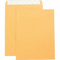 Filing Envelope, Brown, Kraft, PK2