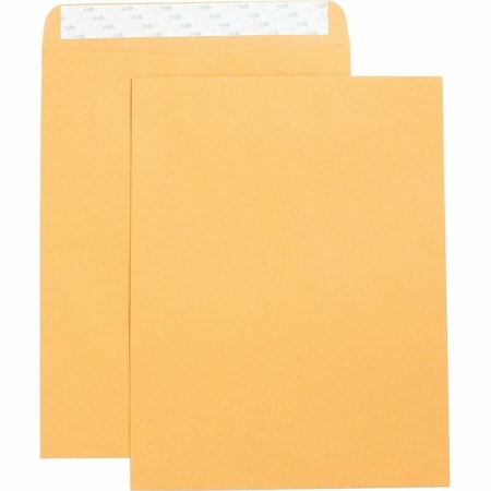 Filing Envelope, Brown, Kraft, PK2