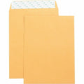 Filing Envelope, Brown, Kraft, PK4