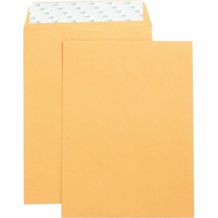 Filing Envelope, Brown, Kraft, PK4