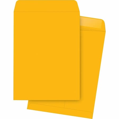 Catalog Envelope, Brown, Kraft, PK250
