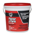 Plaster of Paris, 8 lb, Bag, White, Plaster of Paris