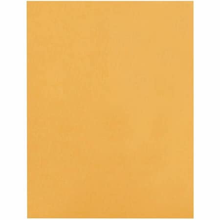 Catalog Envelope, Light Brown, Kraft, PK100