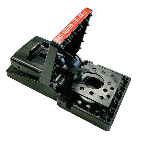 Jawz Plastic Mouse Trap, PK6