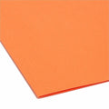 Hanging File Folder, Orange