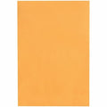 Catalog Envelope, Light Brown, Kraft, PK100