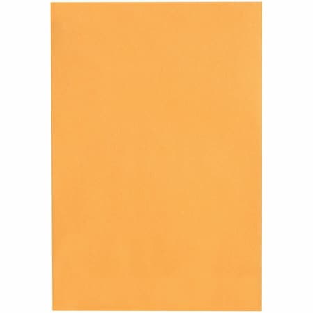 Catalog Envelope, Light Brown, Kraft, PK100