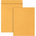 Jumbo Catalog Envelopes, 17 "W, 22 "H, PK25