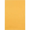 Catalog Envelope, Brown, Kraft, PK100