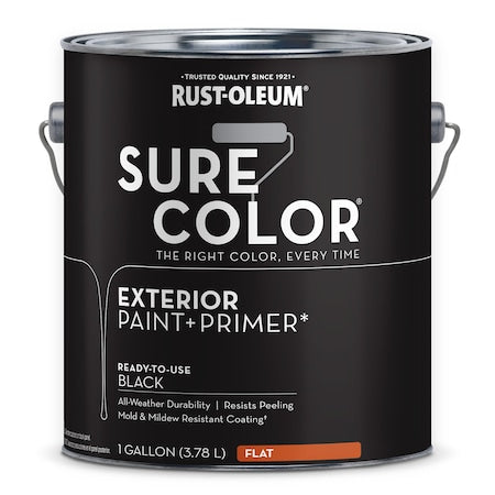 Exterior Paint and Primer, Flat, Water Base, Black