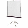 Portable Projection Screen, 70" W, 70" H