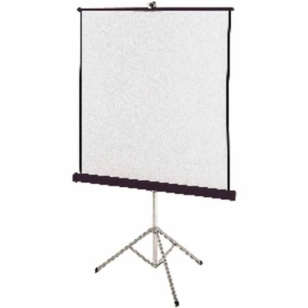 Portable Projection Screen, 70" W, 70" H