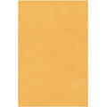 Catalog Envelope, Lt Brown, Kraft, PK250