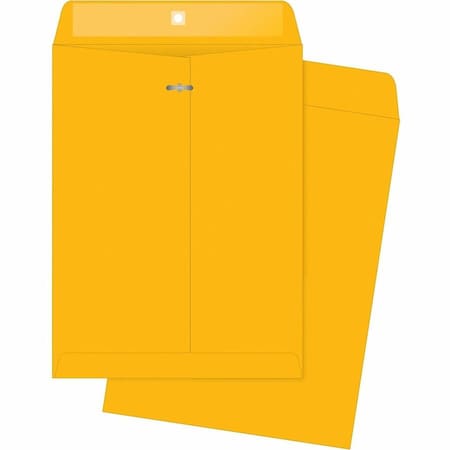 Filing Envelope, Brown, Kraft, PK100