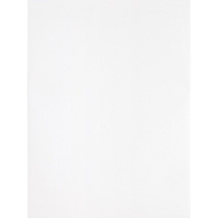Filing Envelope, White, Wove, PK100