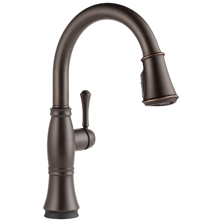 Cassidy Single Handle Pull-Down Kitchen Faucet with Touch2O and ShieldSpray Technologies