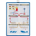 Hanging Copy Folder 9.8" x 11.81", PK 5
