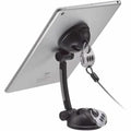 Tabletop Stand, 10 1/2 in H, Black