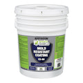 ES-90 Mold Resistant Coating, White, 5 Gallon