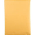 Catalog Envelope, Lt Brown, Kraft, PK100