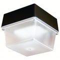 Indoor/Outdoor LED Luminaire, 5000K