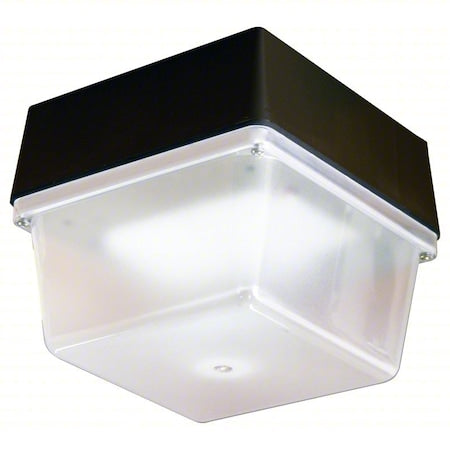 Indoor/Outdoor LED Luminaire, 5000K
