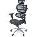 Mesh Task Chair, 18" to 21", Adjustable Arms, Black