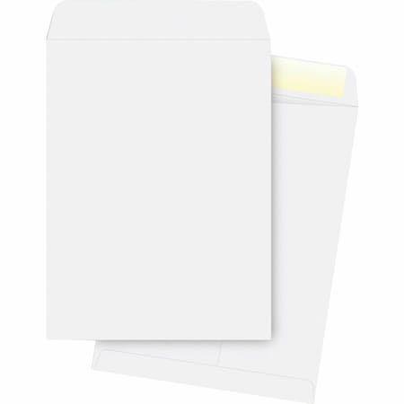 Catalog Envelope, White, Wove, PK250