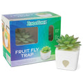 Fruit Fly Trap, Bait Box, White