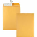 Catalog Envelope, Lt Brown, Kraft, PK100