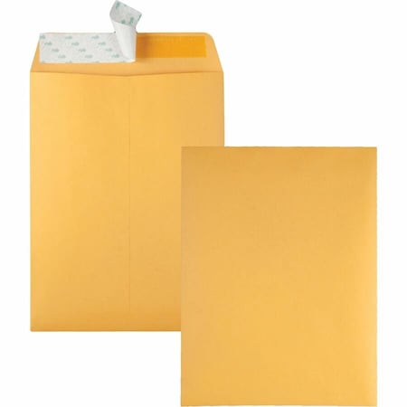 Catalog Envelope, Lt Brown, Kraft, PK100