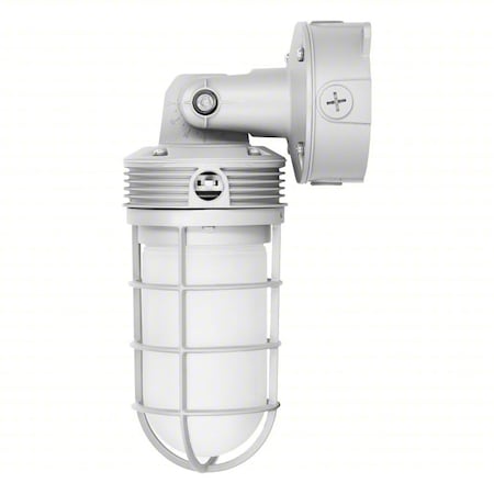 Wall Packs, LED, Pendant; Surface Mount