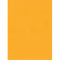 Catalog Envelope, Lt Brown, Kraft, PK250