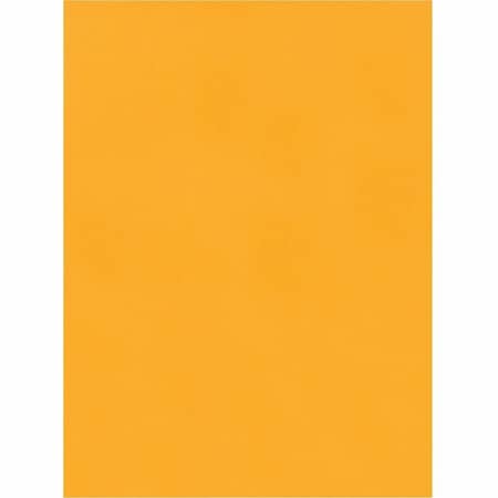 Catalog Envelope, Lt Brown, Kraft, PK250