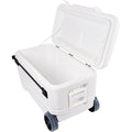 Chest Cooler, 110 qt., White