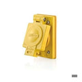 Watertight Locking Receptacle, Non-NEMA, 20 A, 125/250V AC, Single Phase, 3 Pole, Flush Mount