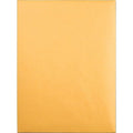 Catalog Envelope, Lt Brown, Kraft, PK100