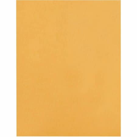 Filing Envelope, Brown, Kraft, PK100