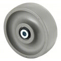 Caster Wheel, 6"dia, 1, 500 lb, Gray