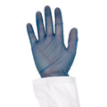 Disposable Gloves, 5 mil Palm, Vinyl, Powder-Free, L, 100 PK, Blue