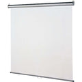 Portable Projection Screen, 84" W, 84" H