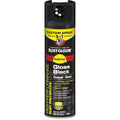 Spray Paint, Exterior, 15 oz, Black