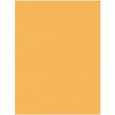 Jumbo Catalog Envelopes, 15 "W, 20 "H, PK25