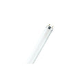 Fluorescent, 25 W, T8, Medium Bi-Pin (G13)