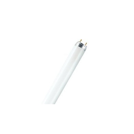 Fluorescent, 25 W, T8, Medium Bi-Pin (G13)