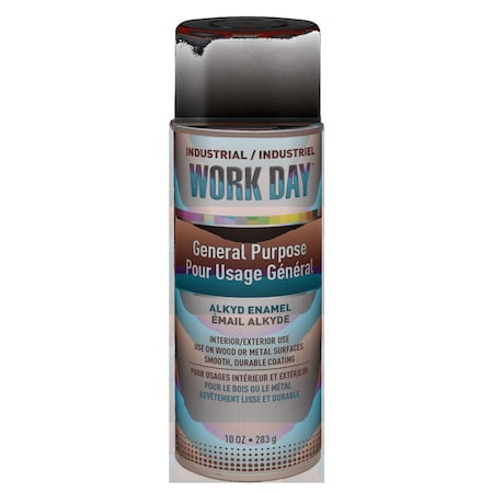 Spray Paint, Black, Flat, Solvent, 10 oz