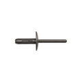 Blind Rivet, Flanged Head, 6 mm Dia., Nylon Body
