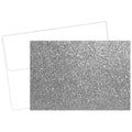 Note Card and Envelopes, Silver Gl, PK15