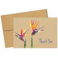 Thank You Card W/Envelope, Paradise, PK50