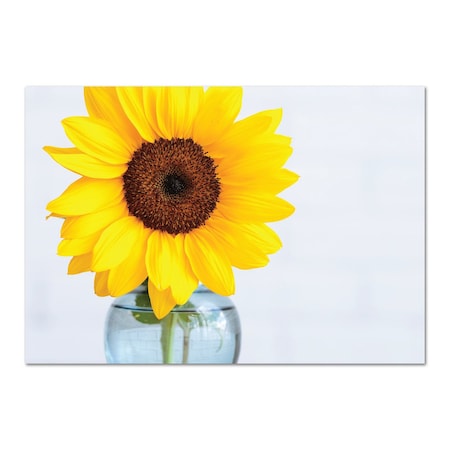 Note Card and Envelopes, Brighter, PK50